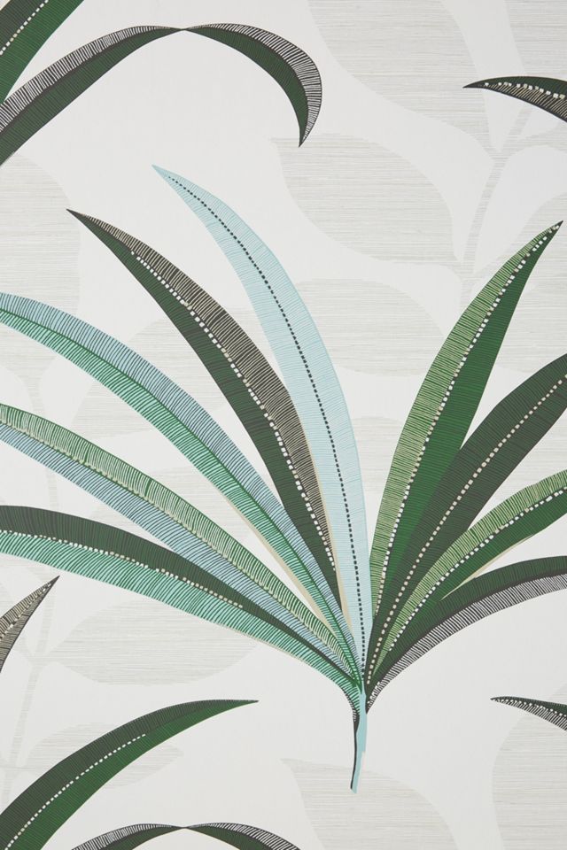 Morocco Palm Wallpaper #2
