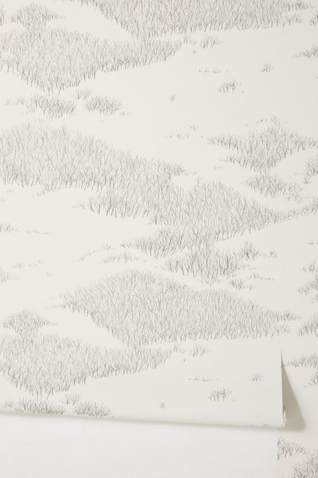 Tundra Wallpaper #1