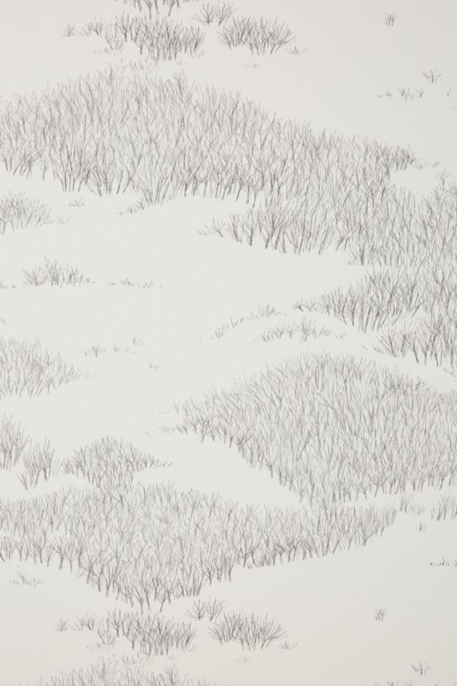 Tundra Wallpaper #2