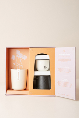 Tea Ritual Gift Set | Anthropologie