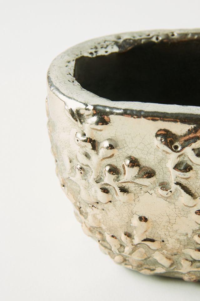 Moonflower Pot #4