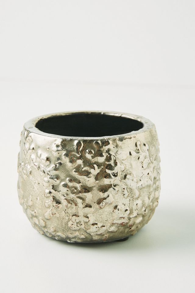 Moonflower Pot #5