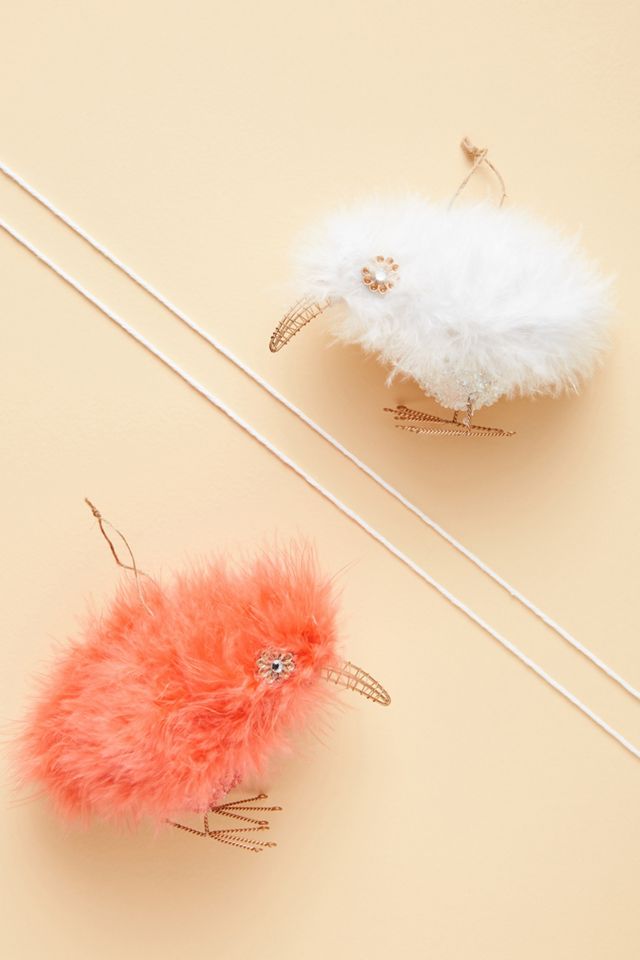 Kiwi Bird Ornament #1