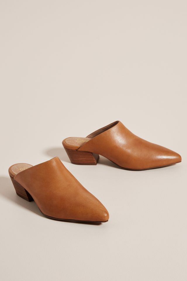 Seychelles clara sales mules