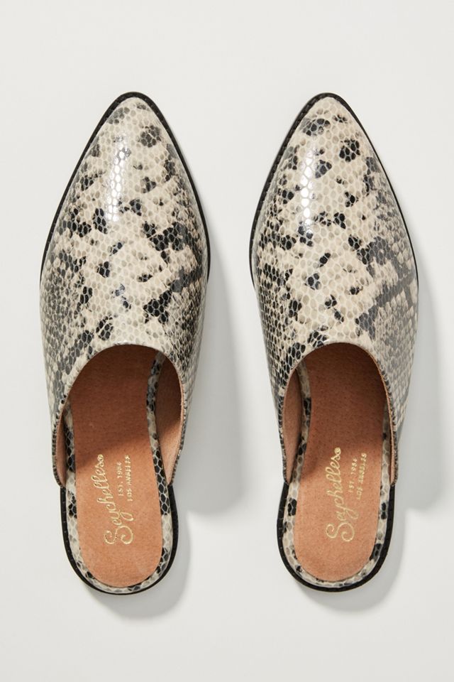 Seychelles Pointed-Toe Flats #1