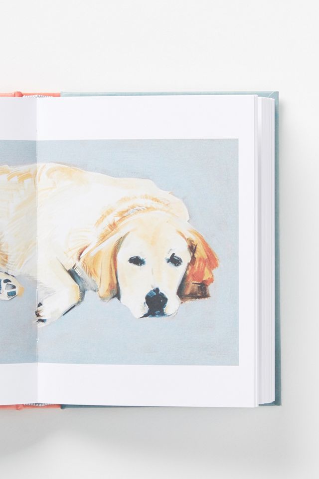 A Dog a Day #2