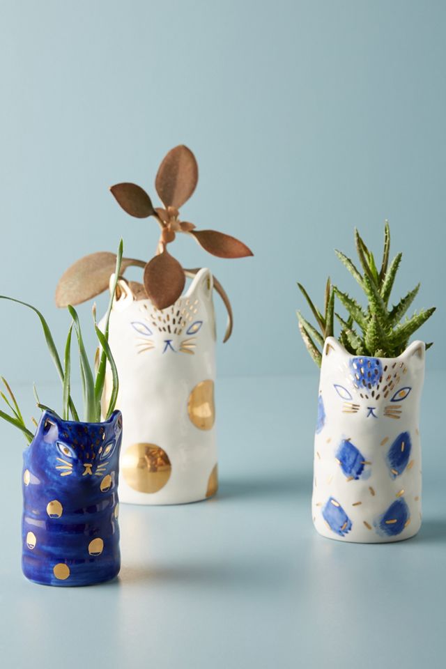 BIRDCANFOX Kitten Planter #2