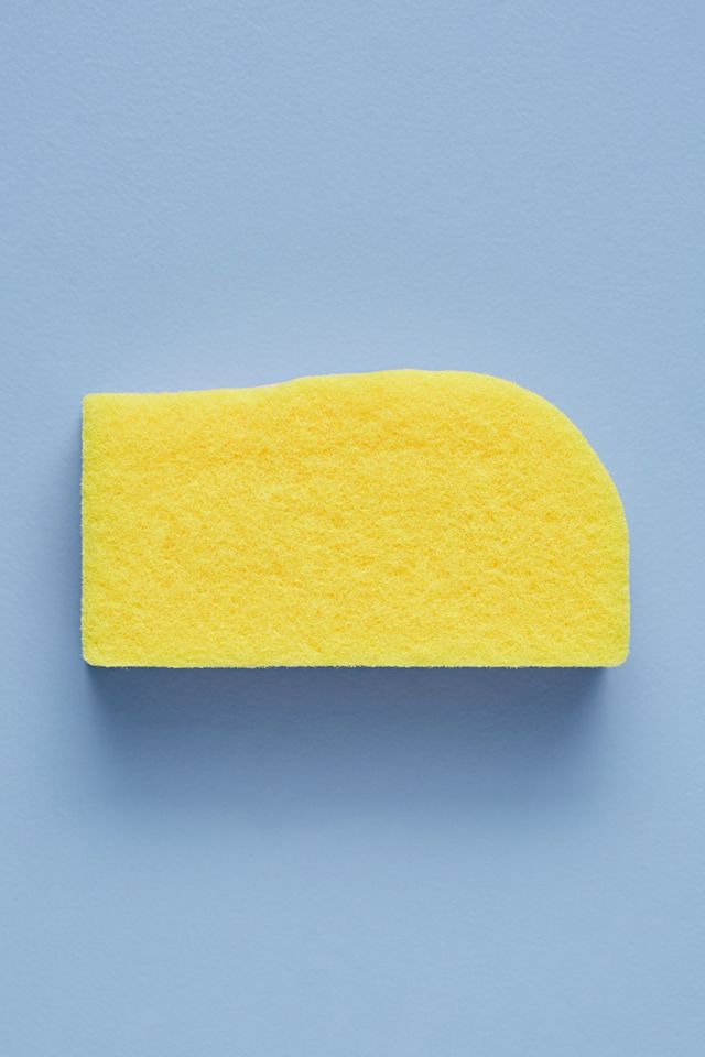 Chloe Sponge #2