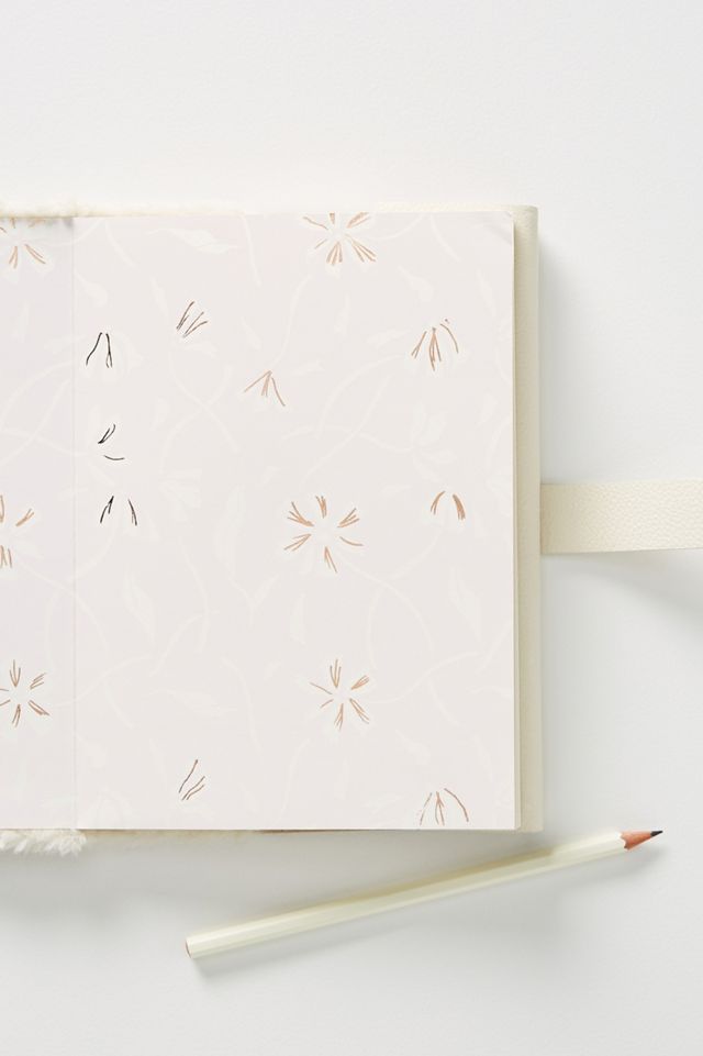 Daphne Journal #2