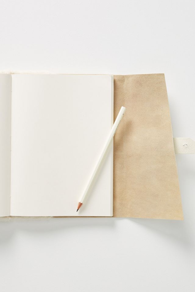 Daphne Journal #3