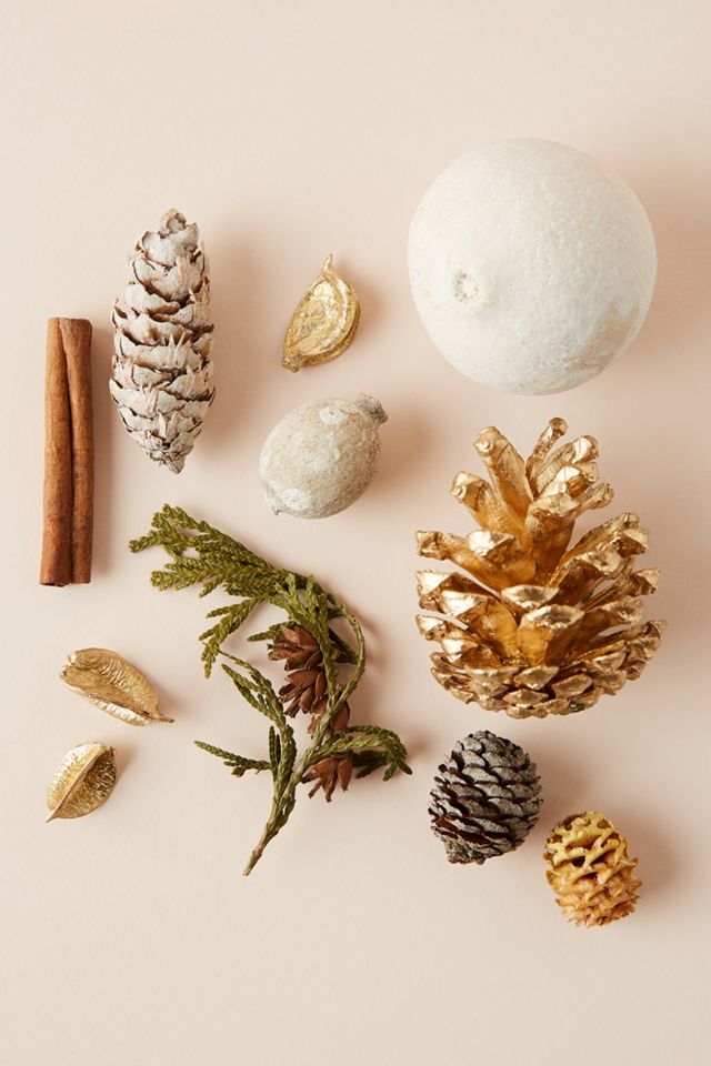 Botanical Potpourri Blend Anthropologie