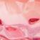 PINK ROSES
