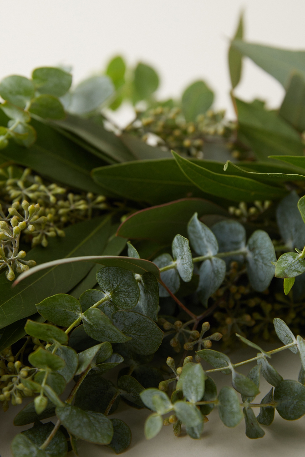 Fresh Eucalyptus + Israeli Ruscus Garland