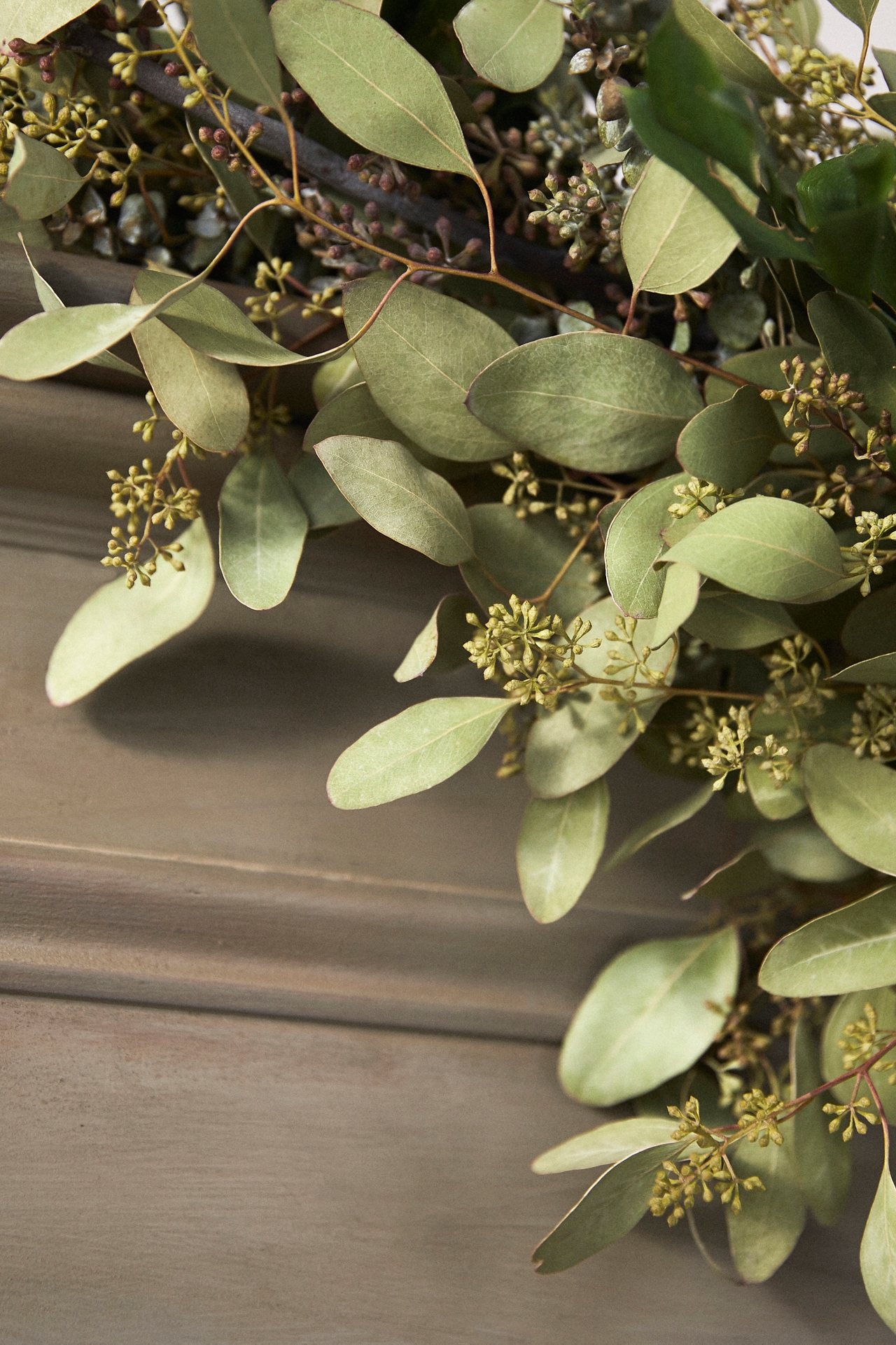 Fresh Eucalyptus + Israeli Ruscus Garland