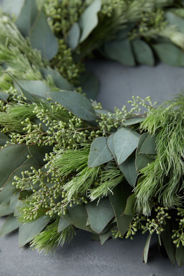 Fresh Seeded Eucalyptus + Woolybush Wreath #1