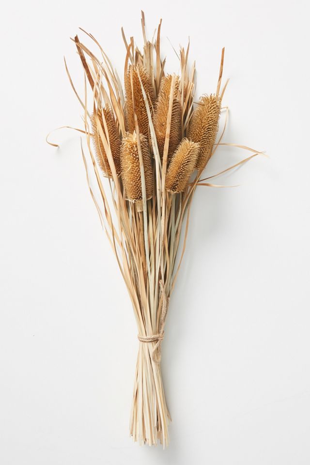 Dried Banksia Bouquet