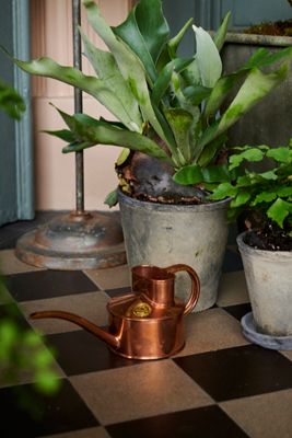 Haws Fazeley Flow Watering Can
