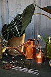 Haws 1 Liter Copper Watering Can + Mister Gift Set #6