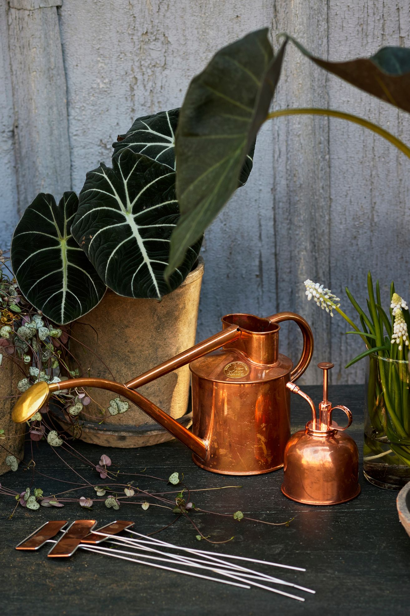 Haws Rowley Ripple Watering Can + Mister Gift Set - Copper + Copper, ONE SIZE
