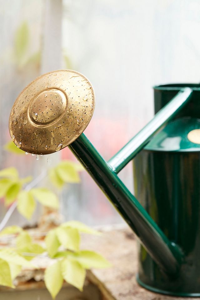 Haws Bearwood Brook Watering Can #9