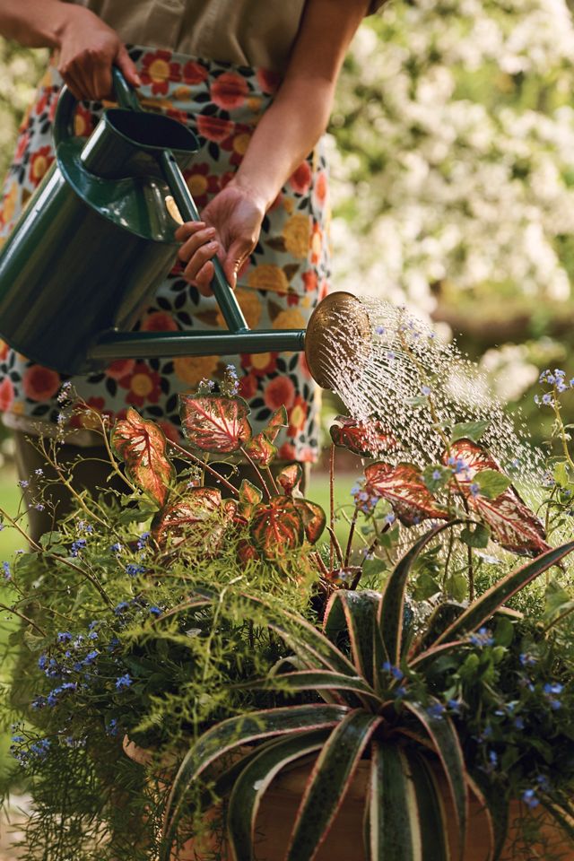 Haws Bearwood Brook Watering Can #1