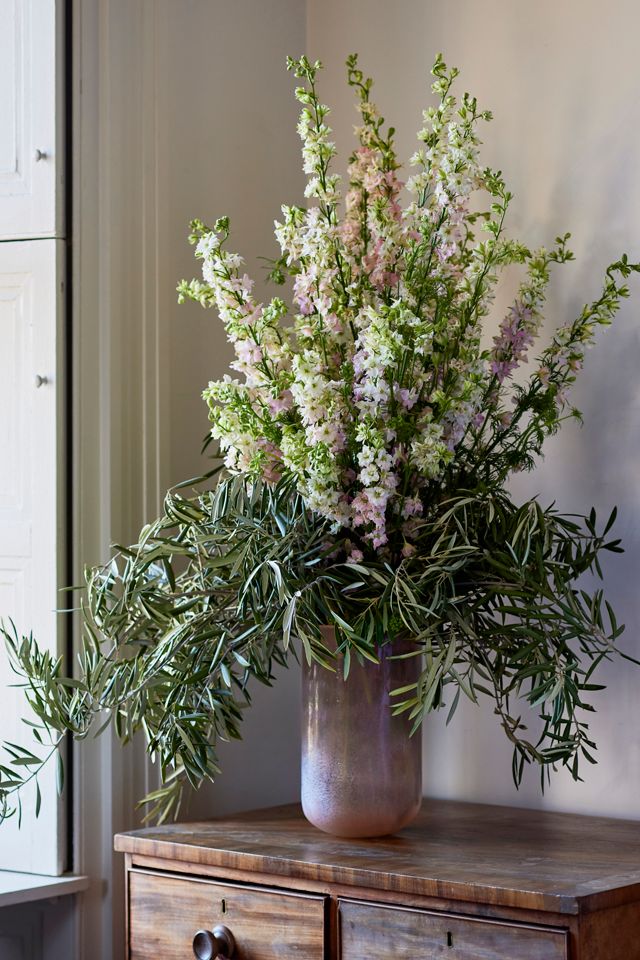 Fresh Olive Branch Bunch #2
