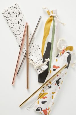 On-The-Go Stainless Steel Straws, Set of 4