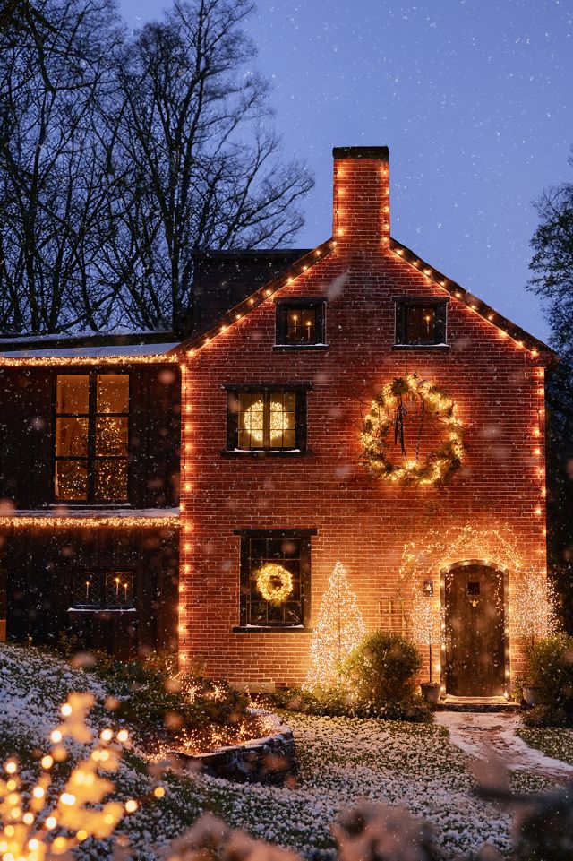 Stargazer Garden Lights Set of 21 Bulbs, Clear #7