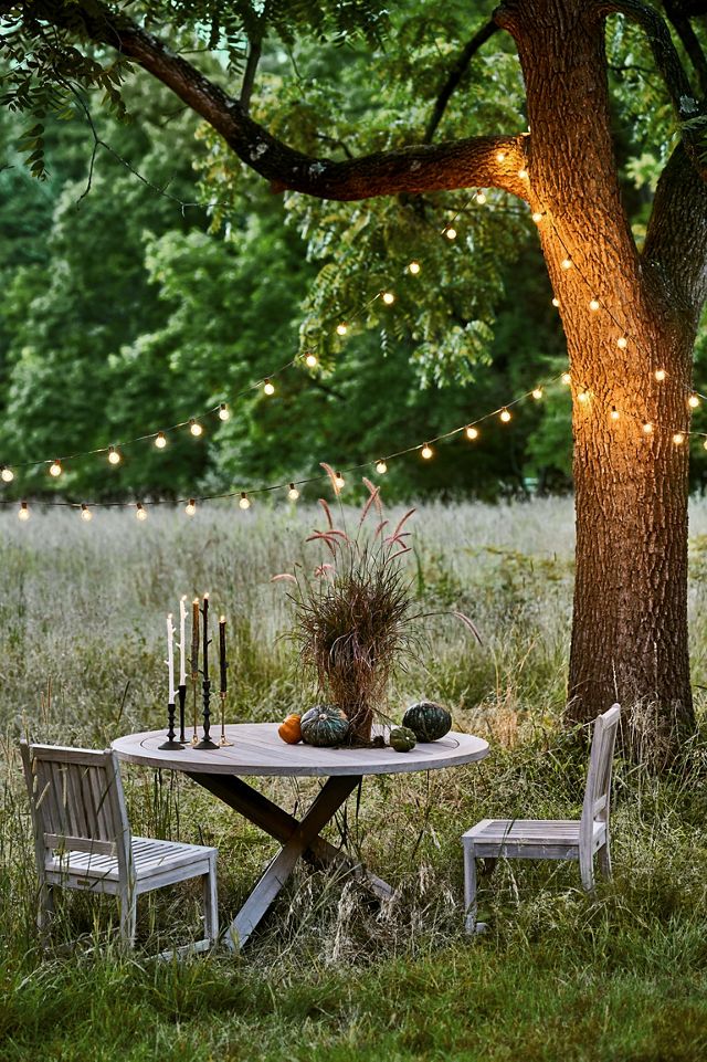 Stargazer Garden Lights Set of 21 Bulbs, Clear #2