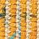Maize