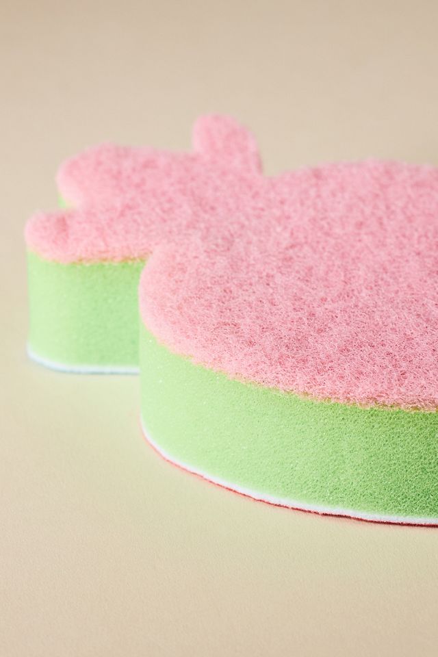 Fruit-Shaped Sponge #1