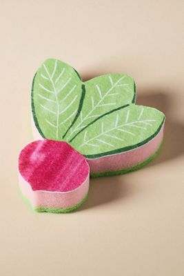 Fruit-Shaped Sponge
