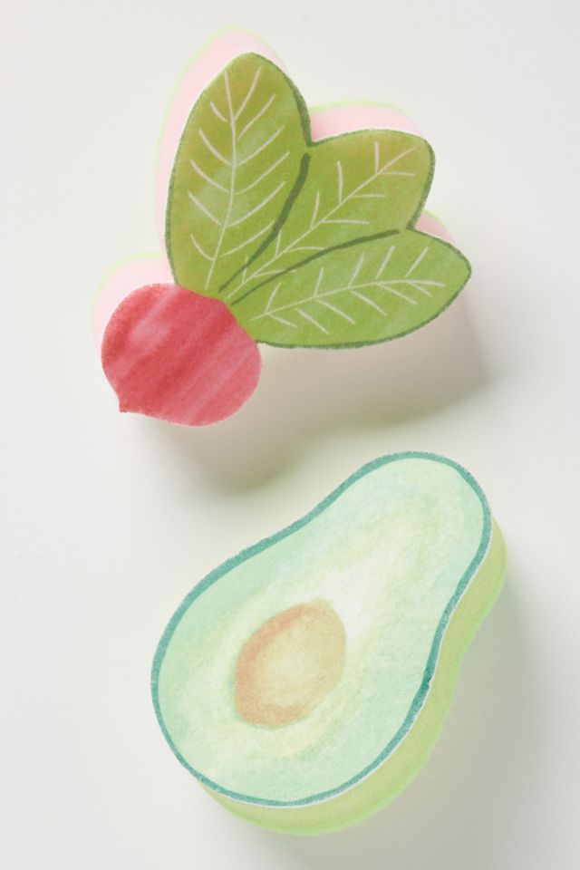 Novelty Sponges, Set of 2