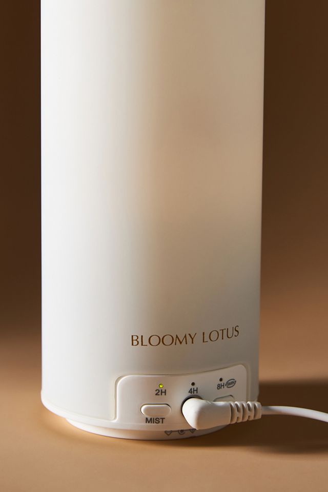 Sky Aromatherapy Diffuser #1