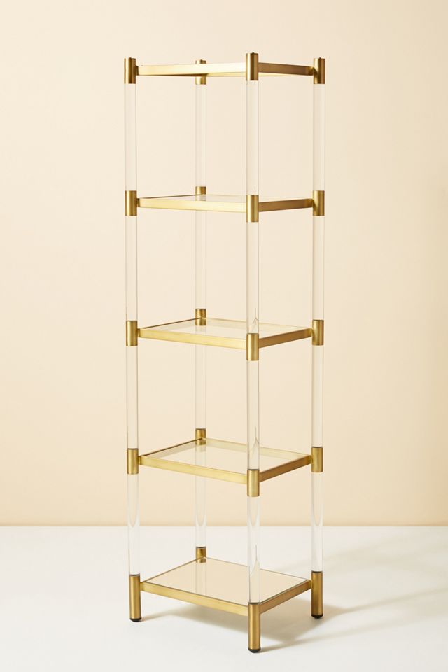 Oscarine Lucite Narrow Mirrored Bookshelf #2