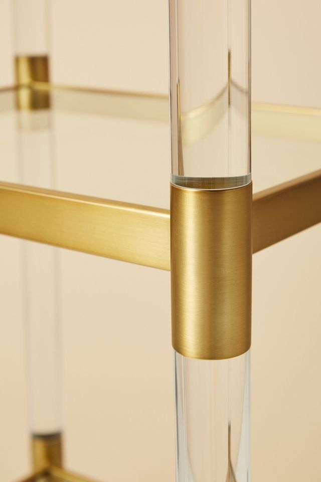 Oscarine Lucite Narrow Mirrored Bookshelf #3