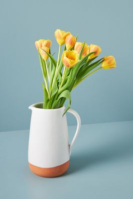 Colori Pitcher