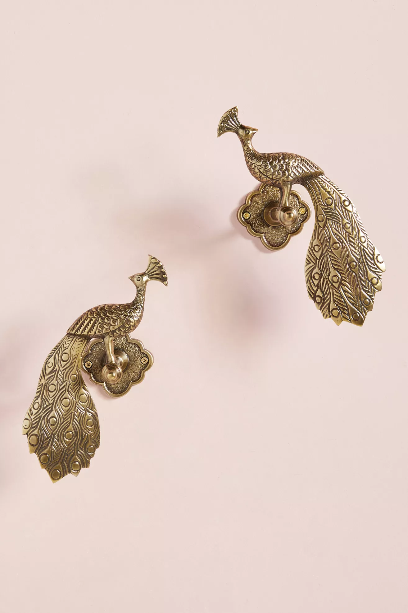 Ida Peacock Tieback - thumbnail 4