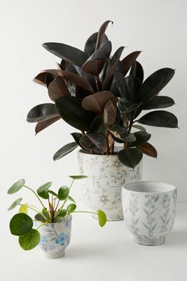 Handpainted Posey Pot