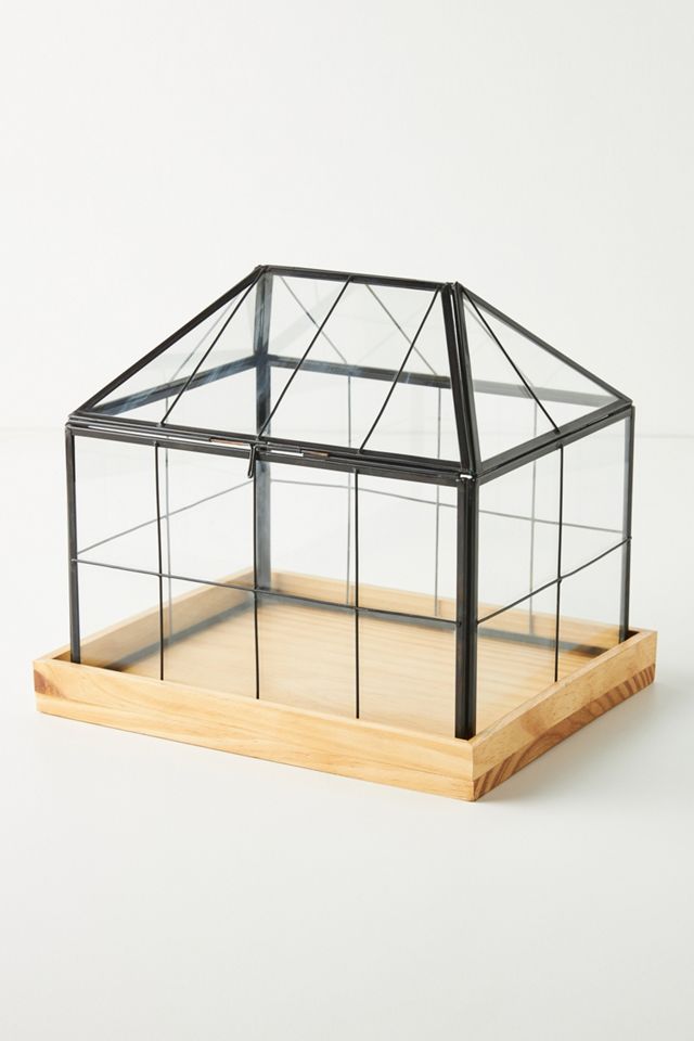 Mini Greenhouse Terrarium #1