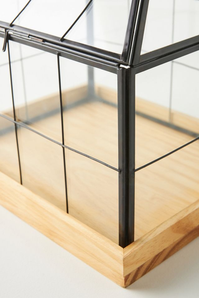 Mini Greenhouse Terrarium #2