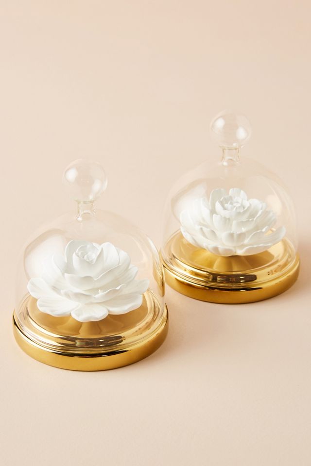 Lola Apothecary Cloche Diffuser #2