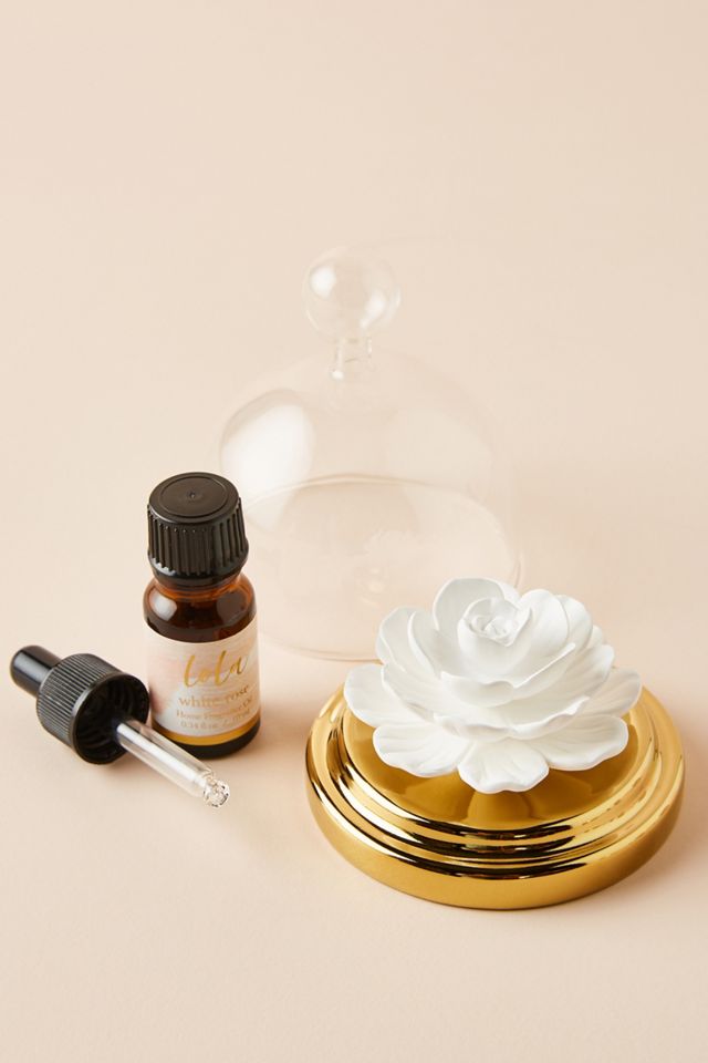 Lola Apothecary Cloche Diffuser #1
