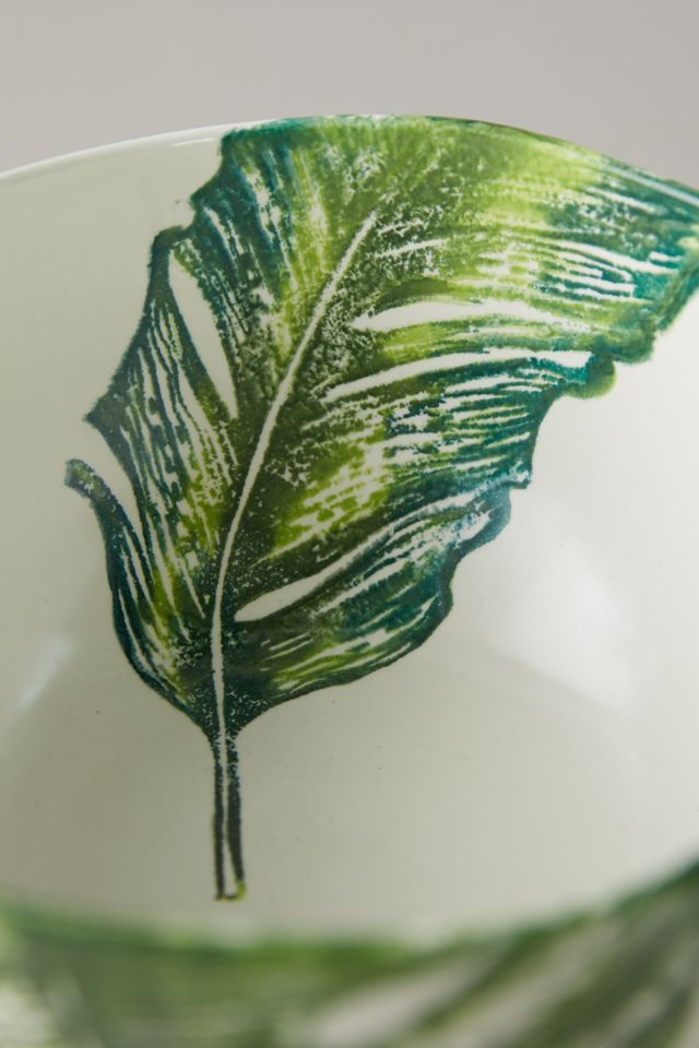monstera thaiconstellation 10