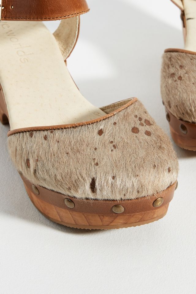 Cordani Zori Heeled Clogs