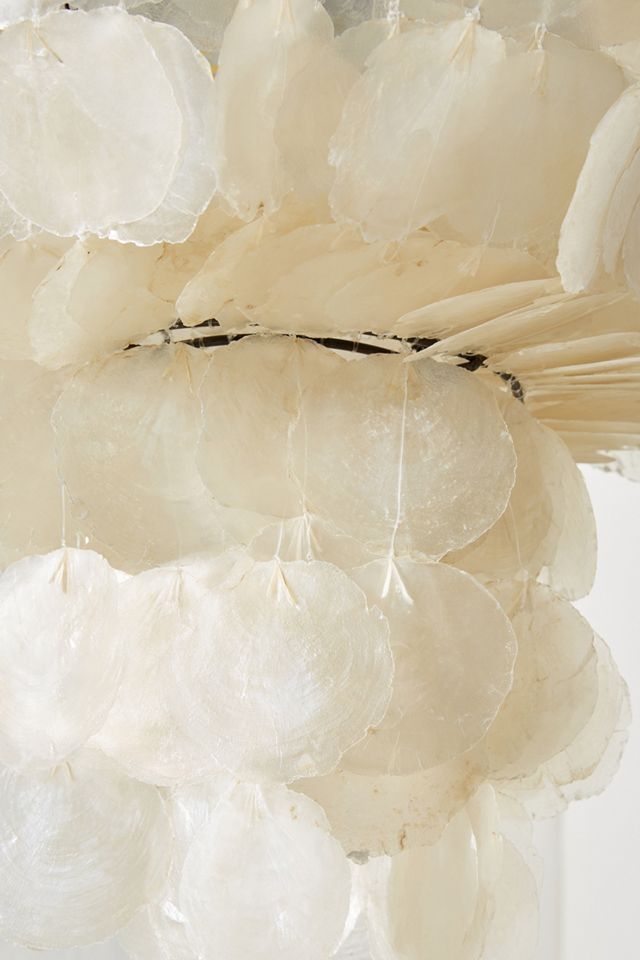 Islais Capiz Chandelier #2