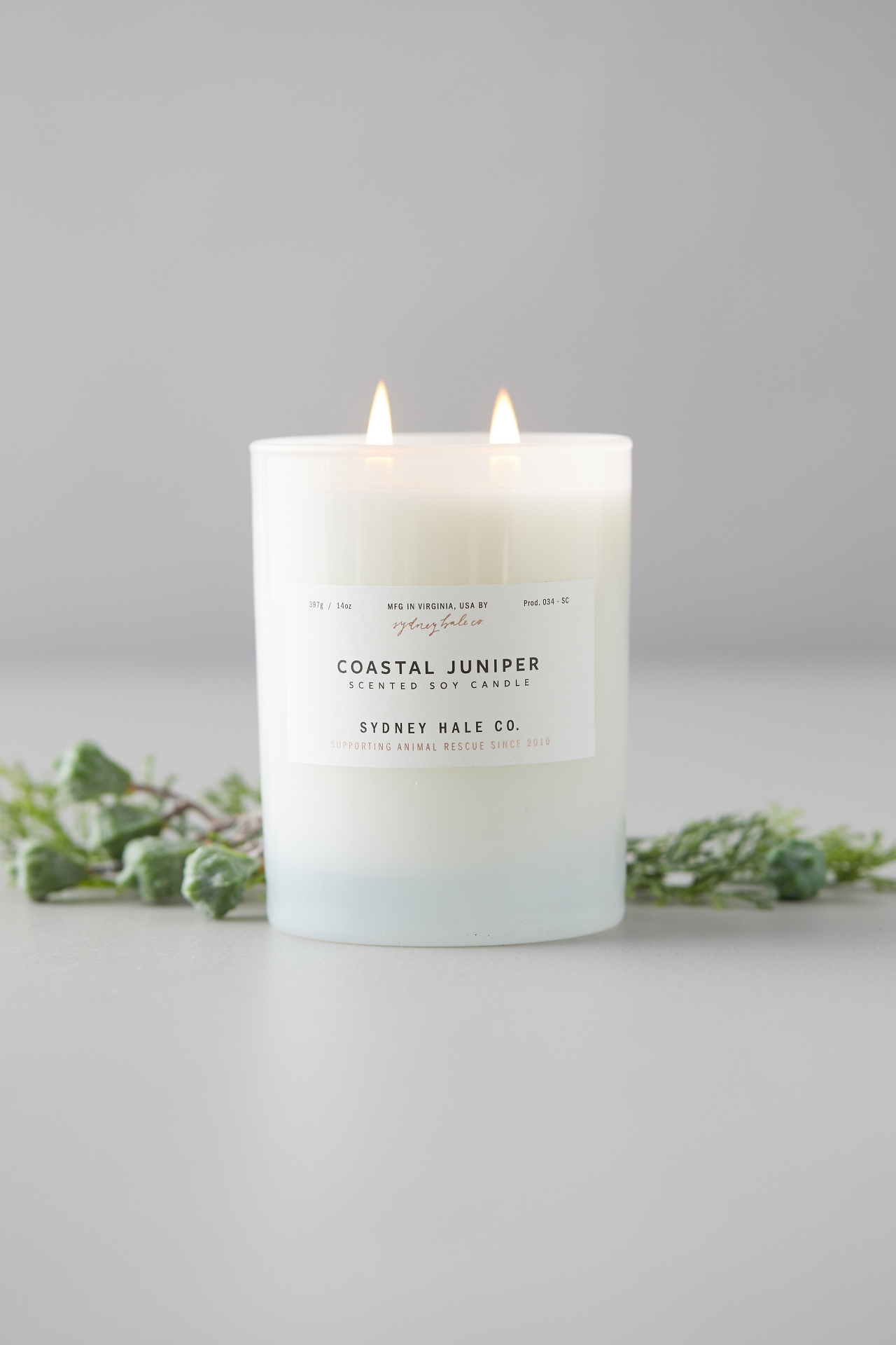 Sydney Hale Candle, Coastal Juniper