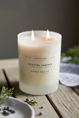 Terrain Sydney Hale Candle, Coastal Juniper In White