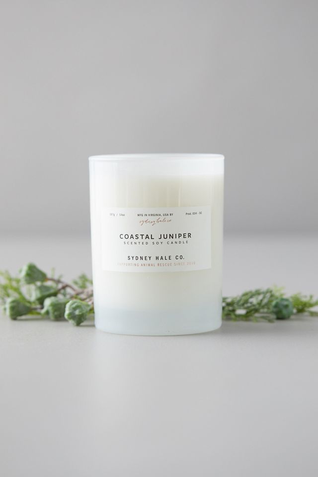 Sydney Hale Candle, Coastal Juniper #1