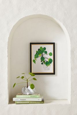 Pila Peperomioides Wall Art